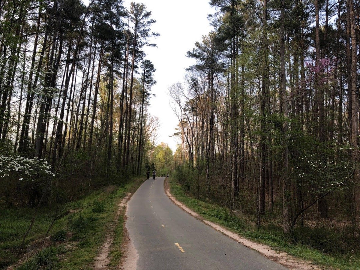 Paved American Tobacco Trail winding through a wooded corridor