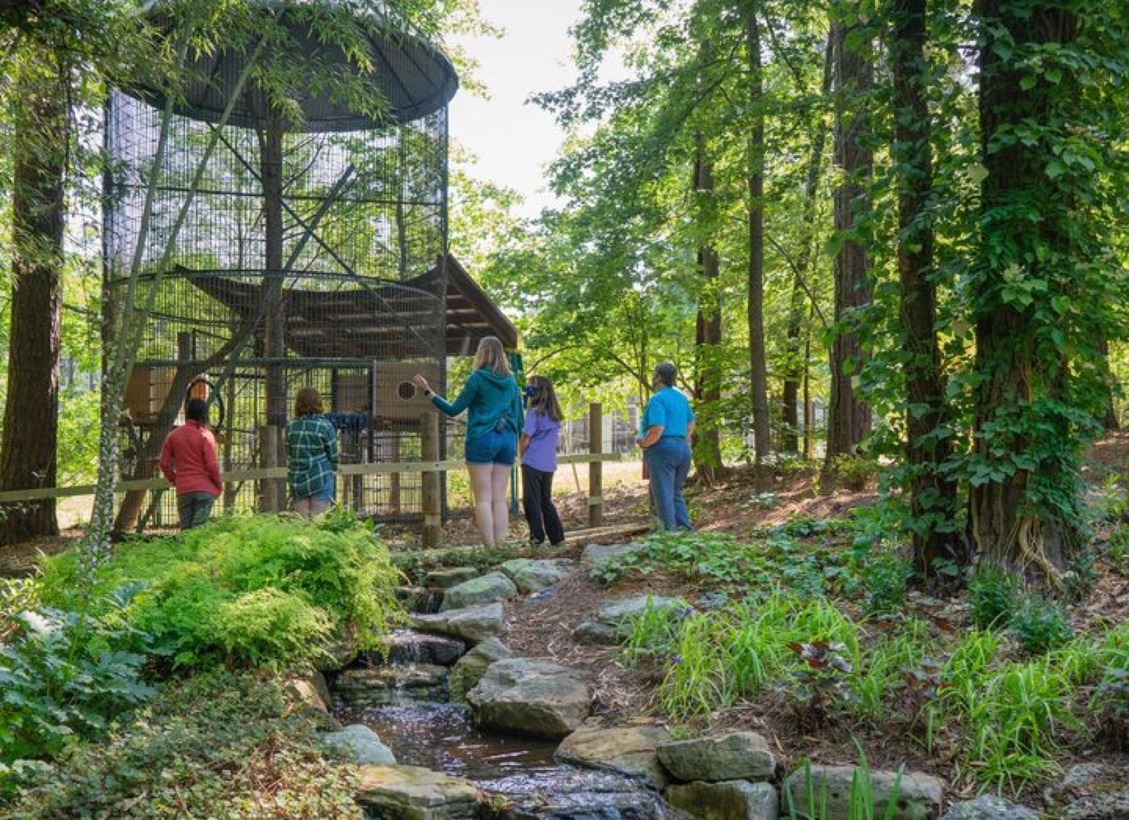 Visitors on a guided tour at the Duke Lemur Center in Durham
