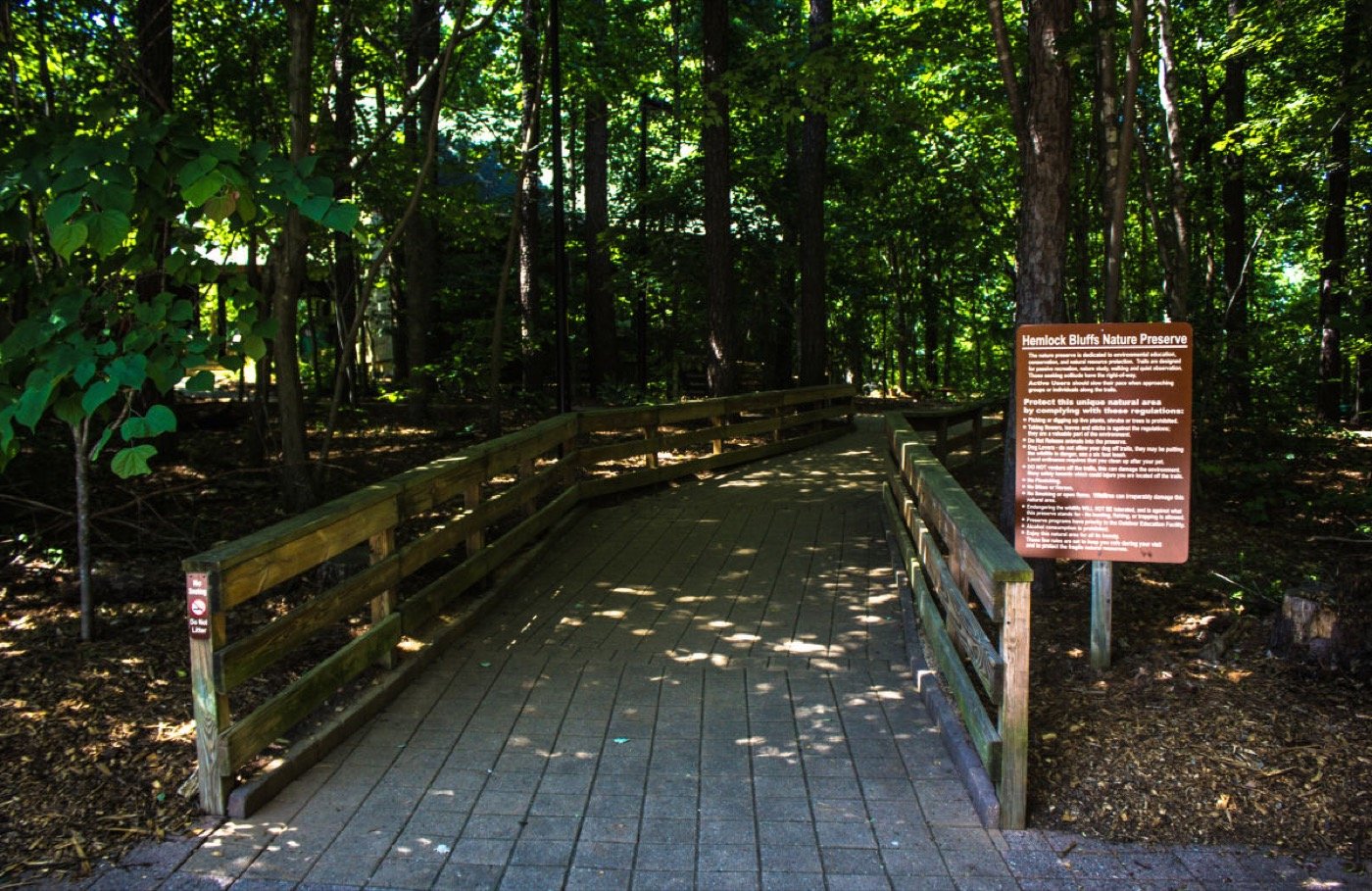 Wooden boardwalk entering the forest at Hemlock Bluffs Nature Preserve
