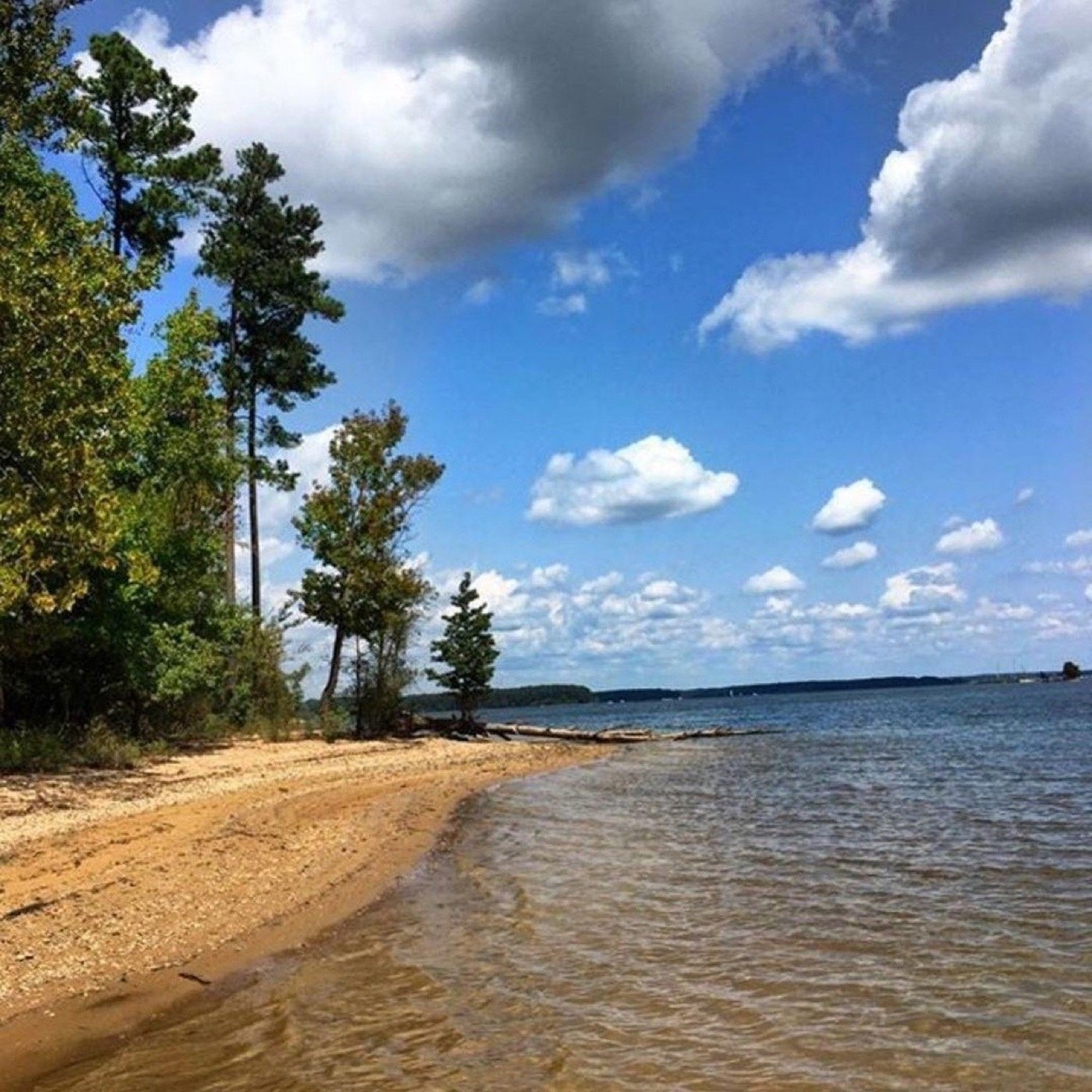 Sandy Seaforth Beach beside the blue water of Jordan Lake