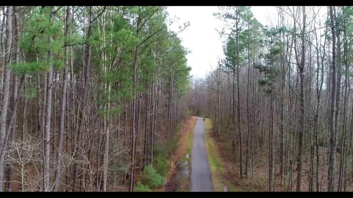 Aerial view of the paved Park Depot Greenway through woods
