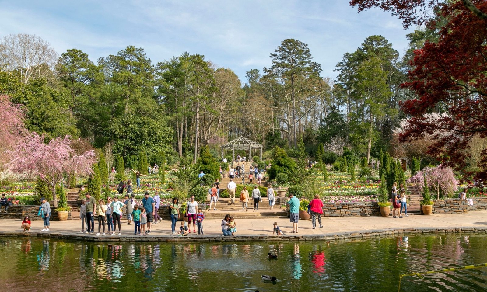 Colorful flowers and landscaped terraces at Sarah P. Duke Gardens