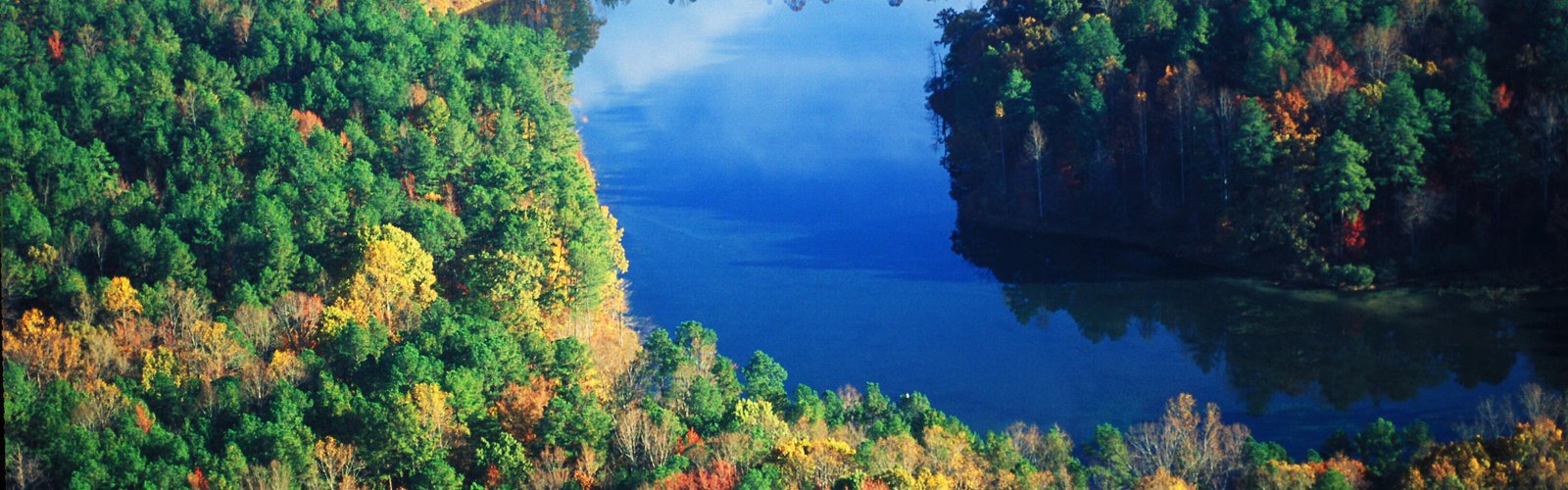 Lake surrounded by wooded slopes and early fall color at William B. Umstead State Park